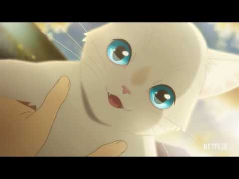 本予告『泣きたい私は猫をかぶる』【2020年6月18日(木)Netflixより全世界独占配信スタート！】