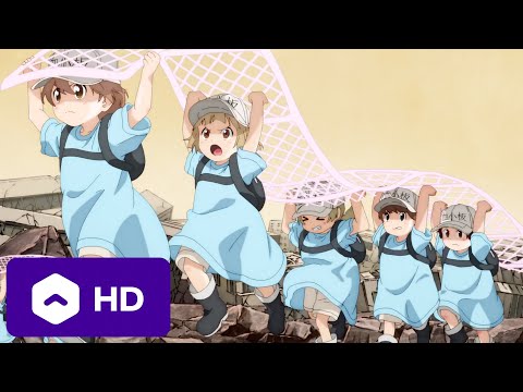 Cells at Work!! Season 2 | Official Trailer