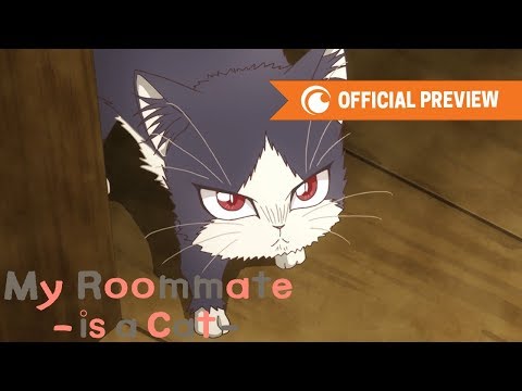 My Roommate is a Cat | OFFICIAL PREVIEW