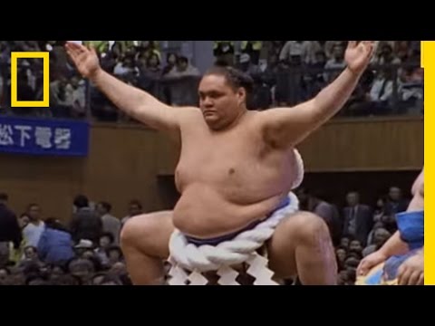 Sumo Wrestling 101 | National Geographic