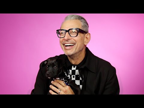 Jeff Goldblum Plays With Puppies While Answering Fan Questions