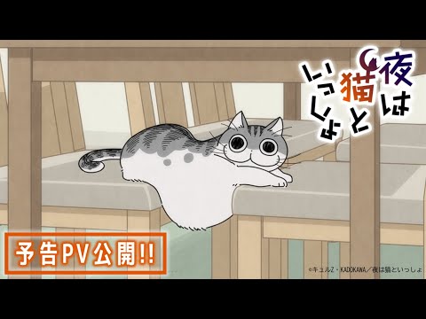 アニメ『夜は猫といっしょ』予告PV【8/3(水)より放送＆配信スタート！】
