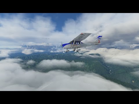 Microsoft Flight Simulator Sim Update 5 vs Sim Update 4 - Tree Draw Distance Fixed