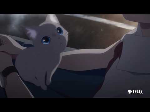 ヨルシカ「嘘月」×『泣きたい私は猫をかぶる』PV