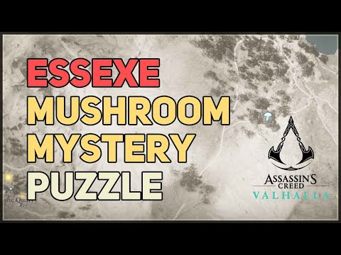 Essexe Mushroom Mystery Hallucination Challenge Fly Agaric AC Valhalla