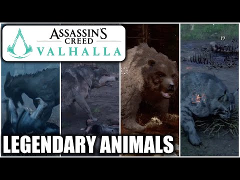 Assassin&#039;s Creed Valhalla - All Legendary Animals - Master Hunter Trophy - Defeat all Alpha Animals