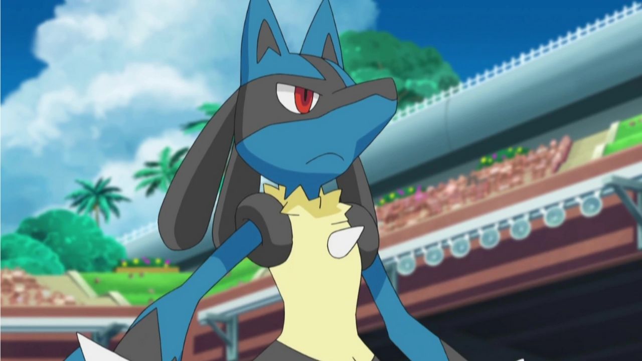 pokemon se burla de lucario vs dragonite battle