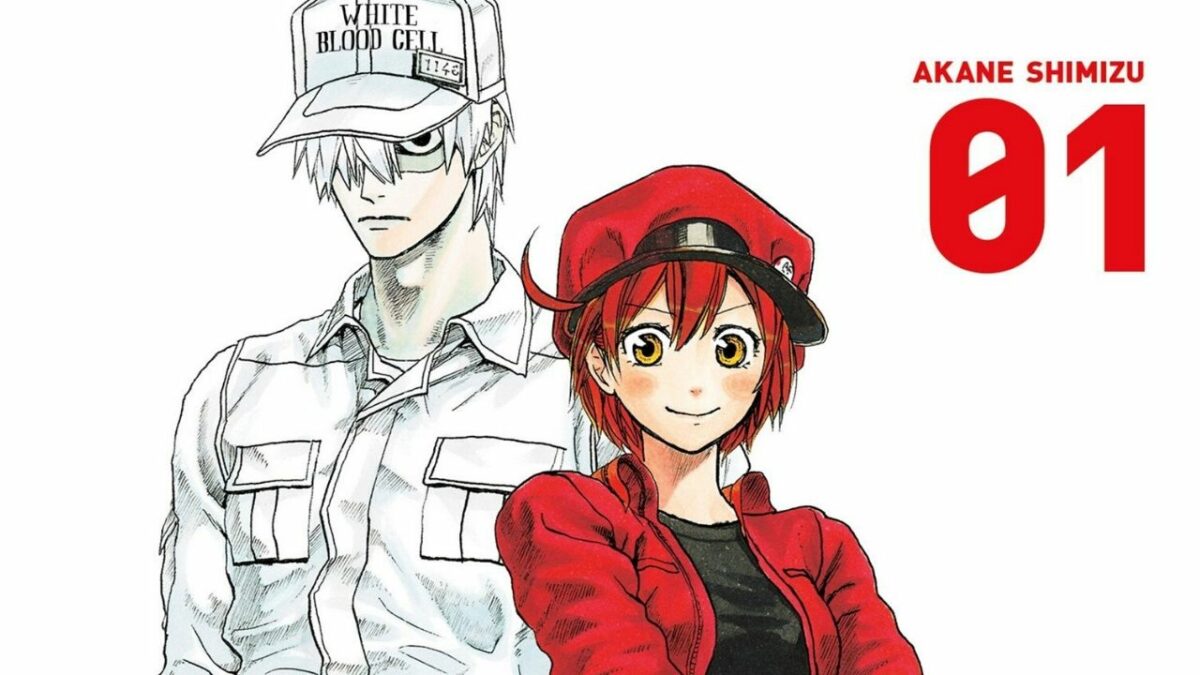Cells at Work! Baby Announces another Hiatus