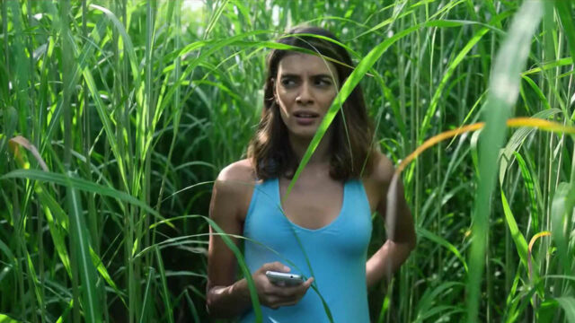 In The Tall Grass Review: Is the Netflix Horror Worth Watching?