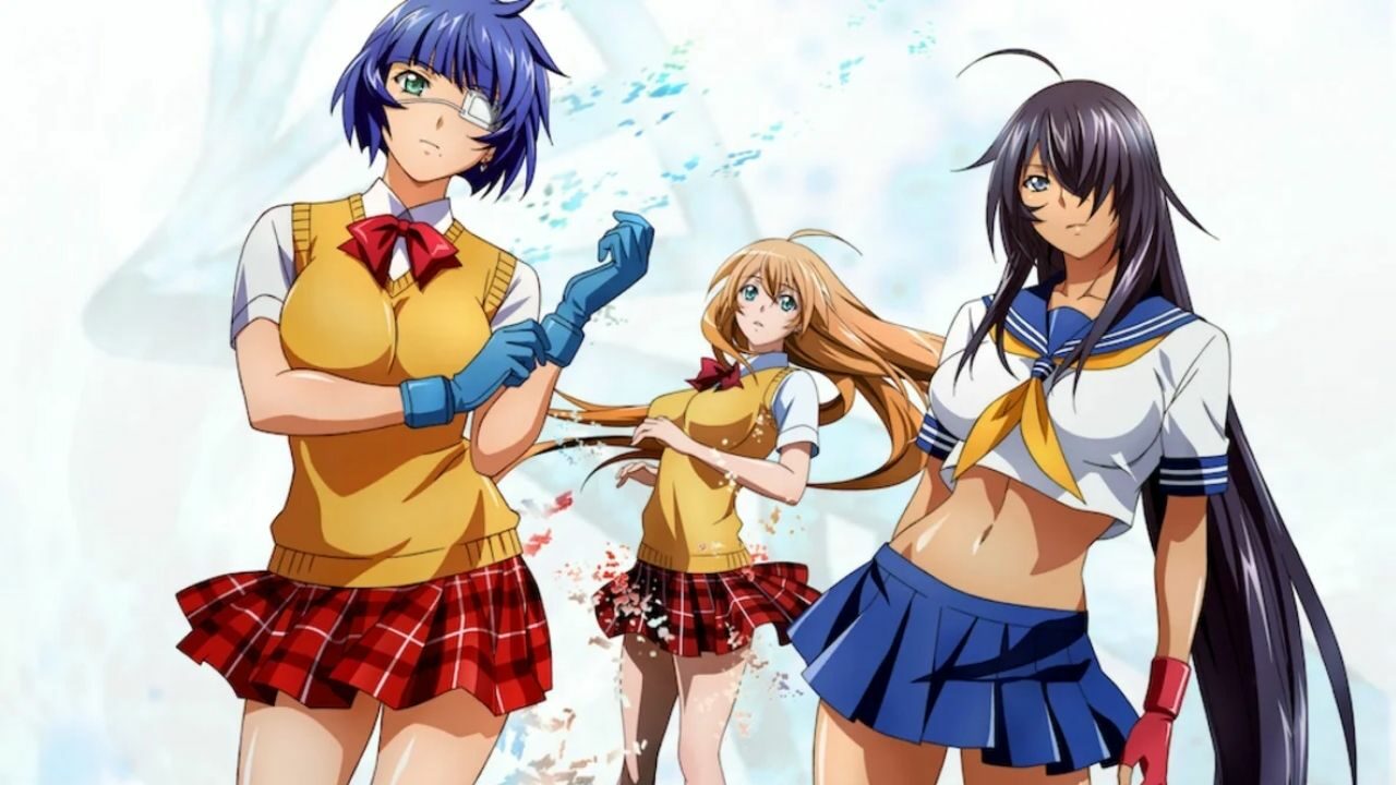 Studio Arms (Ikki Tousen, Elfen Lied) Declares Bankruptcy cover