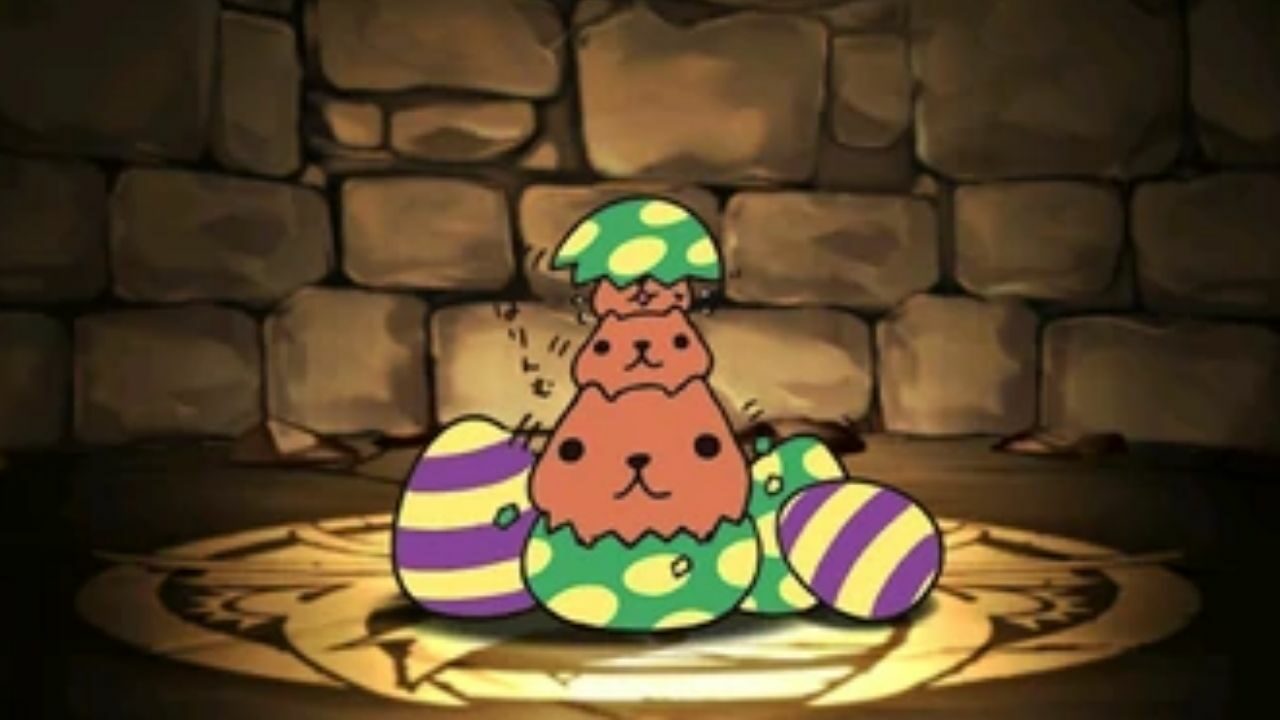 Animation Kapibara-san: Release Date, Visuals and News cover