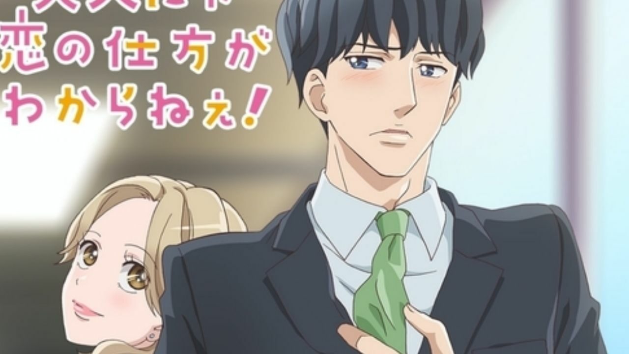 Otona nya Koi no Shikata ga Wakaranee! is Getting an Anime cover
