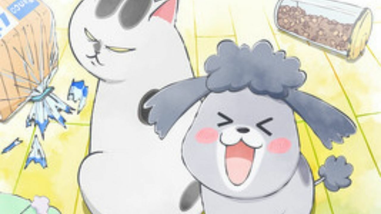 With A Dog AND A Cat Every Day Is Fun: Debut Date and More cover