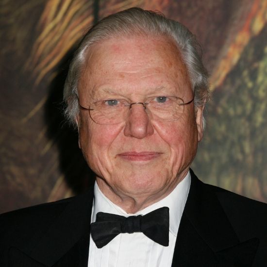 Por que o filme de David Attenborough sobre as mudanças climáticas pode fazer você chorar