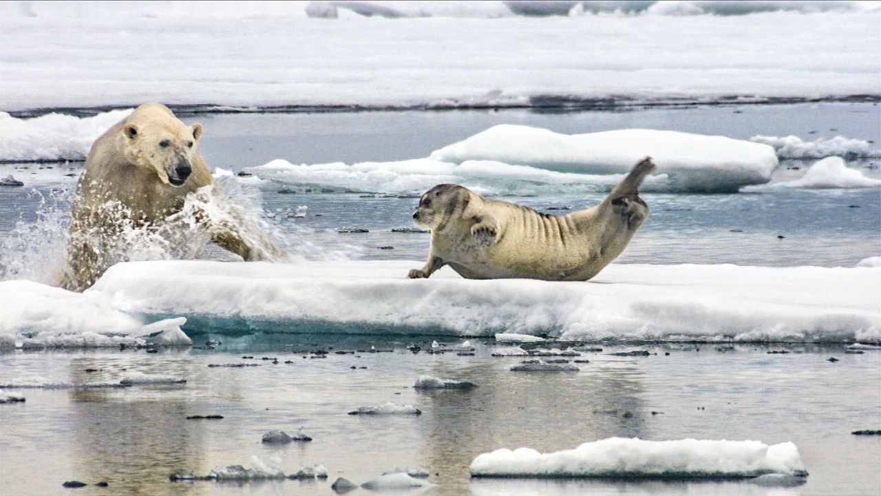 Why David Attenborough's Climate Change Film Could Make You Cry