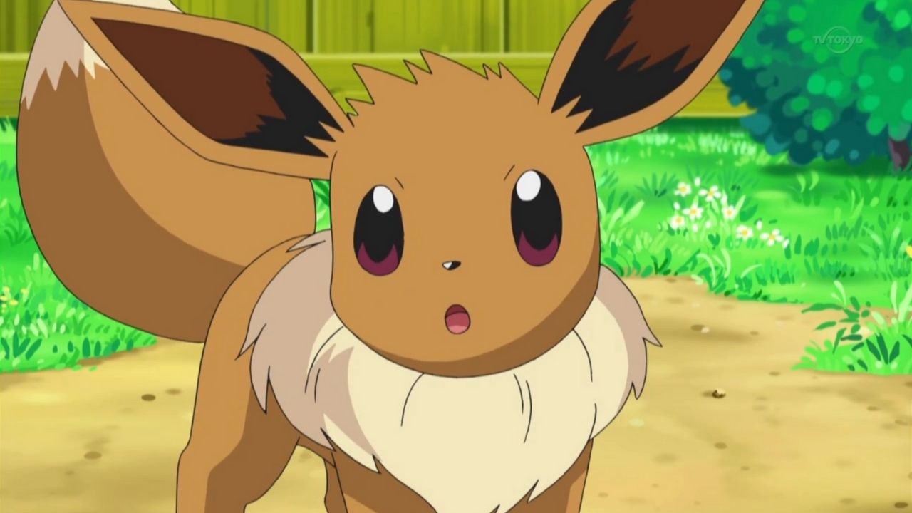 Pok&eacute;mon 2019 Episode 50 Updates