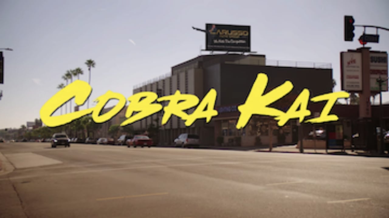 Guide to Every Karate Master Ever on Karate Kid and Cobra Kai cover