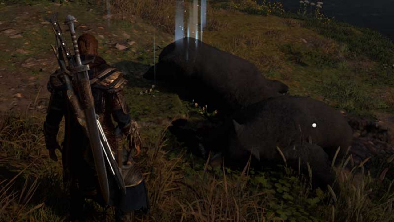 Black Bear & It’s Fur Location in AC Valhalla Easy Guide