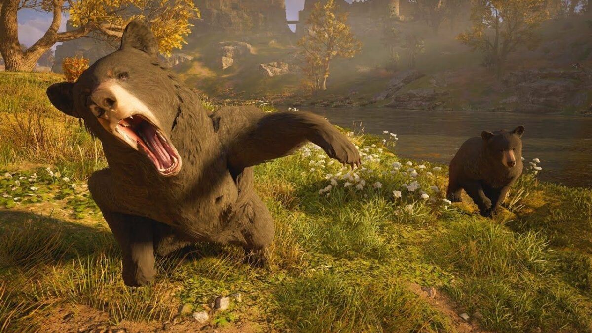 Black Bear & It’s Fur Location in AC Valhalla Easy Guide