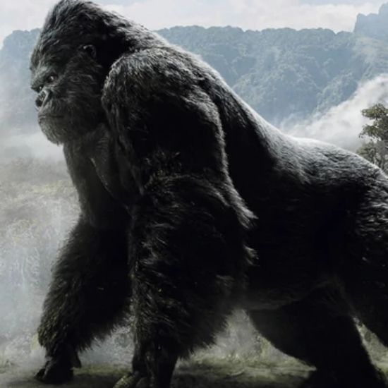 Strongest & Weakest Titans in the Godzilla/Kong MonsterVerse