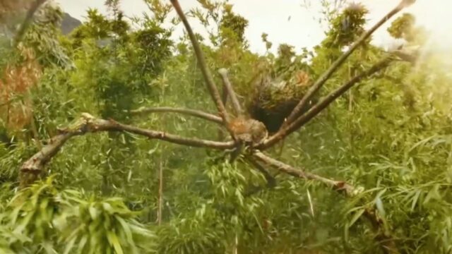 強さに応じてランク付けされたゴジラモンスターバースのタイタントップ15