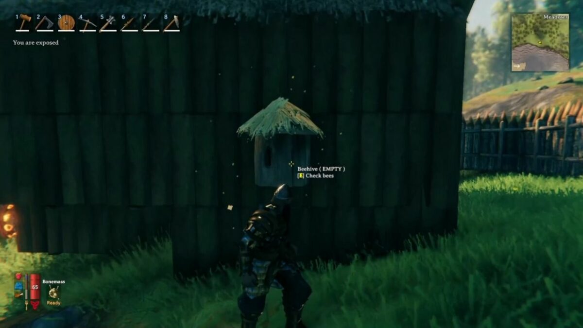 How to Make Potions and Meads in Valheim?