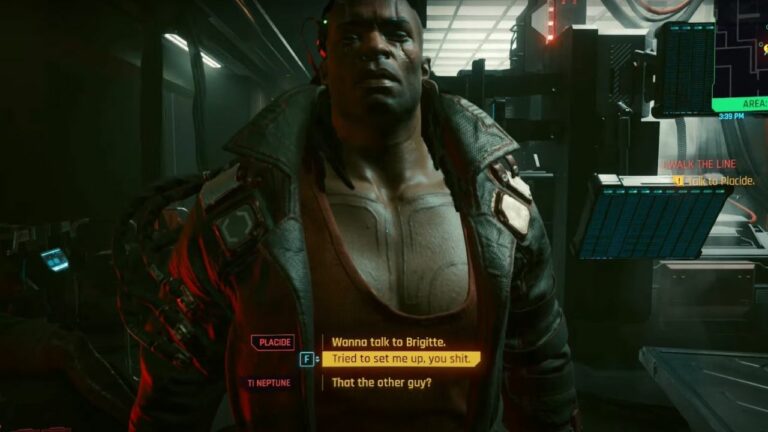 Cyberpunk 2077 I Walk The Line Choice - NetWatch or Voodoo Boys?