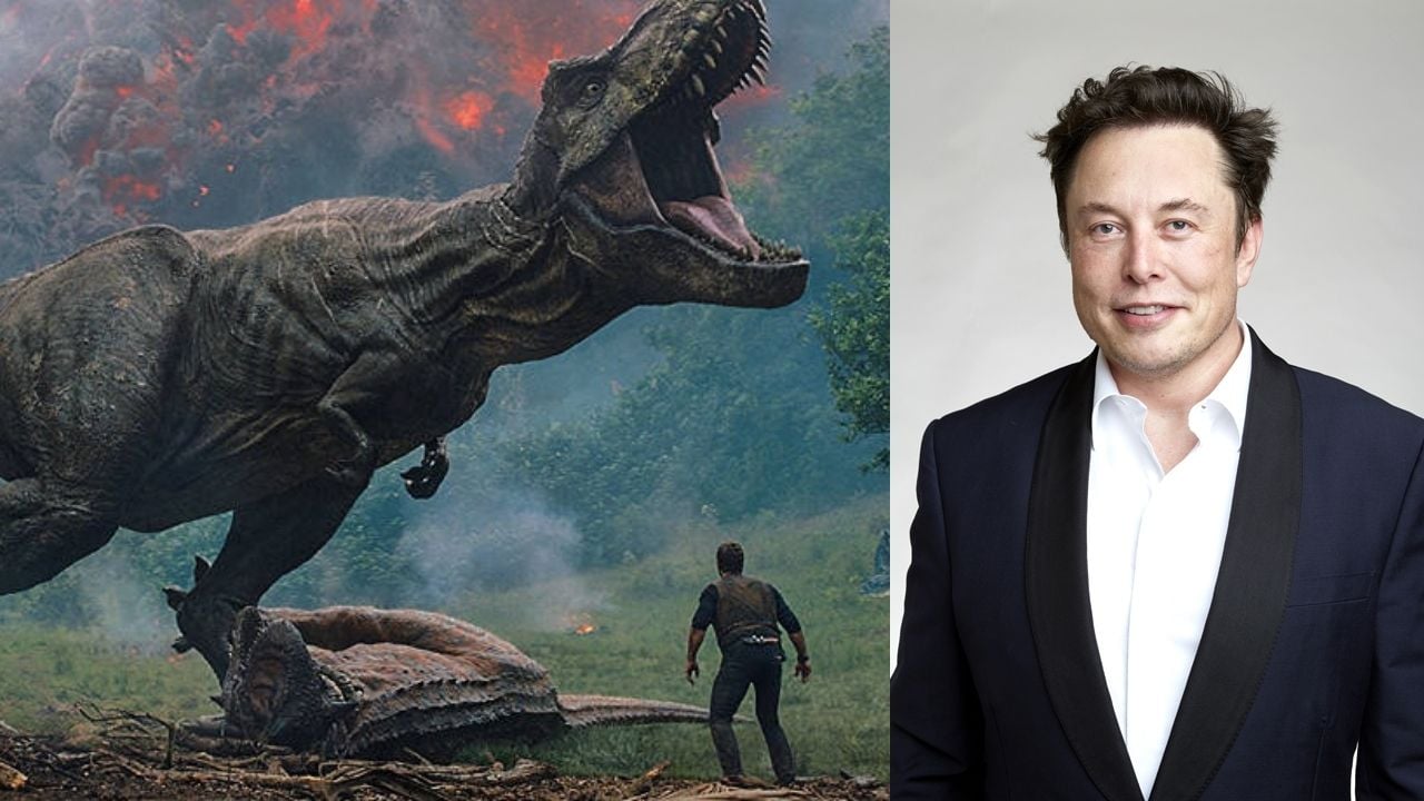 Elon Musk Partner Says a Real Jurassic Park Could Be in the Works cover