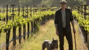 Star Trek: Picard Resumes Filming Less Than a Week After Shutdown