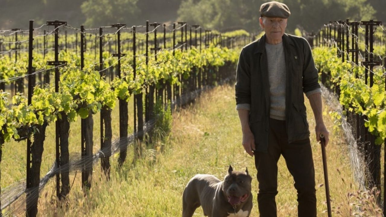 Star Trek: Picard Resumes Filming Less Than a Week After Shutdown cover