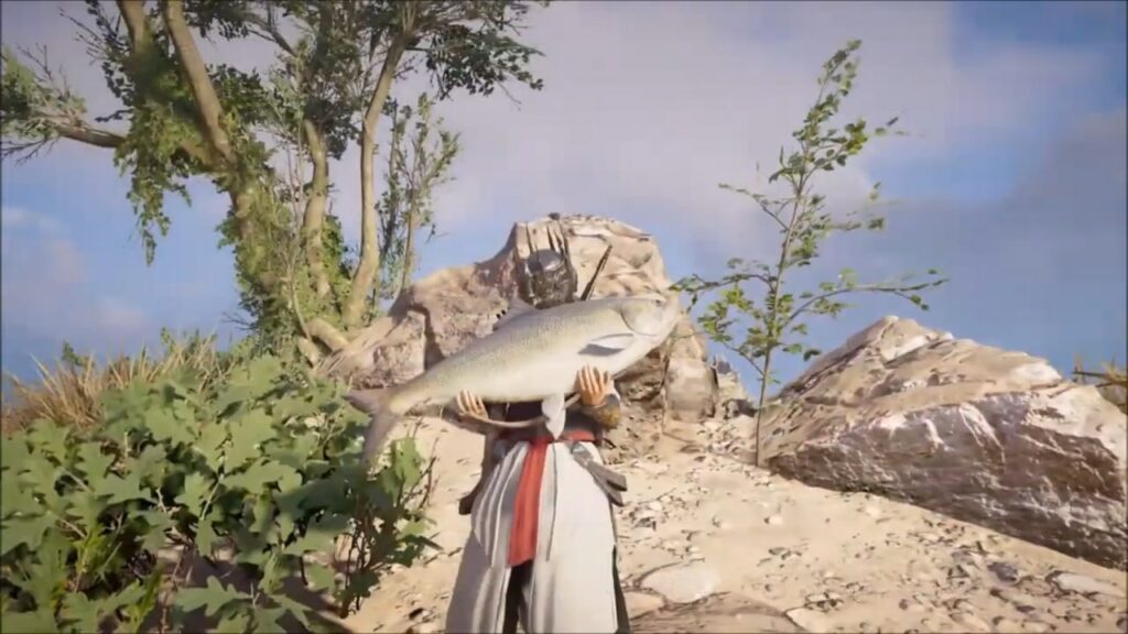 Big Shad and Mackerel Fishing Location in AC Valhalla
