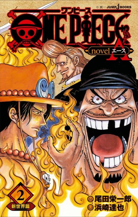 Nami Becomes Full Fashionista in the One Piece Spin Off Novel “Heroines”