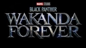 Winston Duke bestätigt, dass M'Baku Teil von Black Panther 2 sein wird