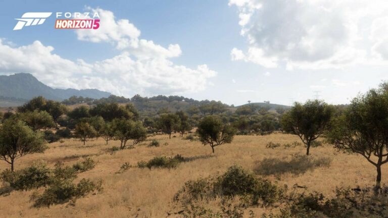 Hier ist ein Blick auf die 11 wunderschönen Biome in Forza Horizon 5