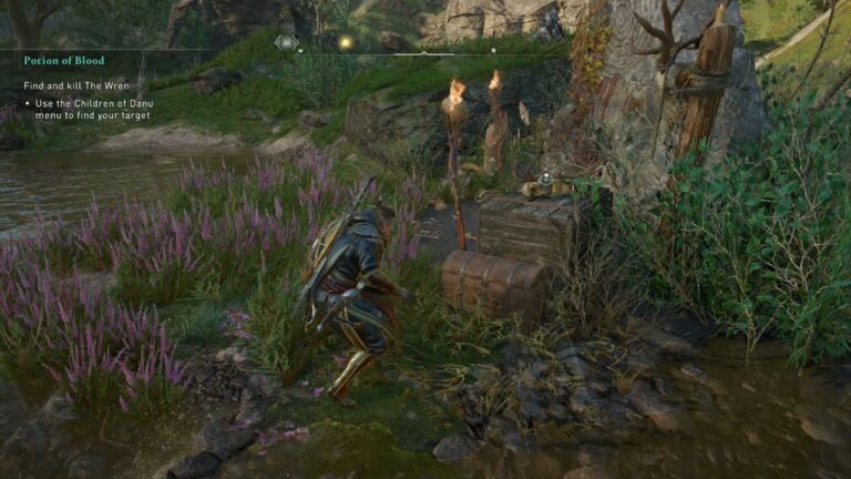How to Kill The Wren? AC Valhalla: Wrath of the Druids Location Guide