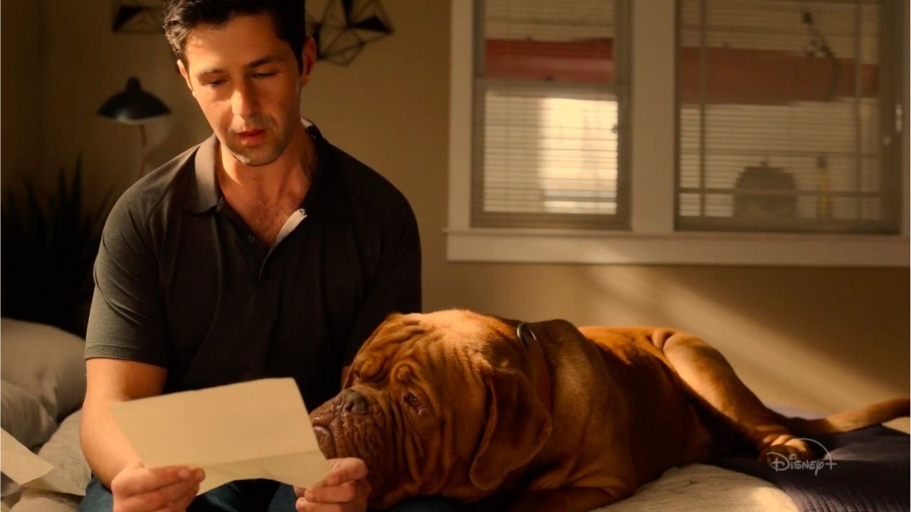 Turner And Hooch Episode 11: Release Date And Speculation cover