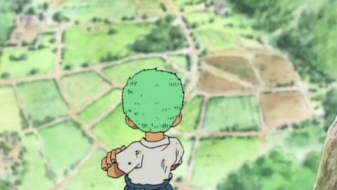 Is Zoro a Shimotsuki? - Quora