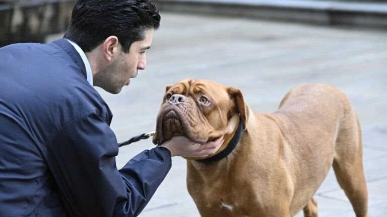 Turner And Hooch Episode 5: Release Date and Speculation