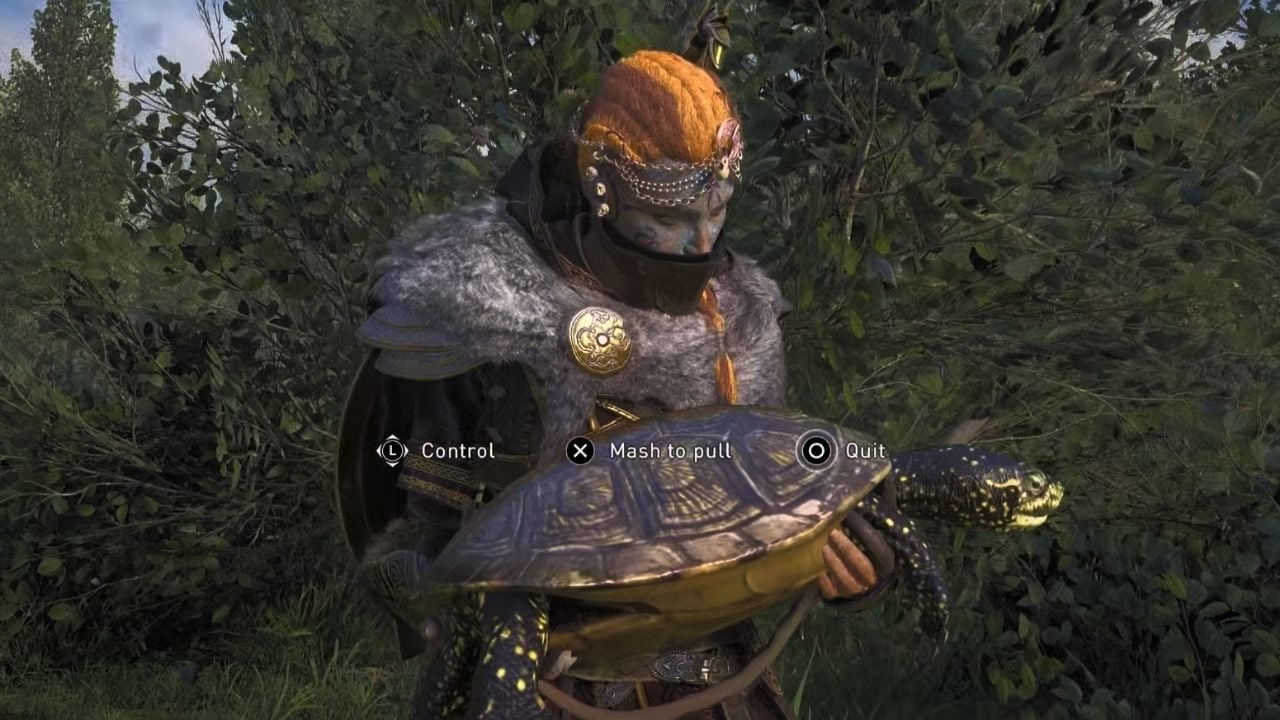 AC Valhalla Guide: Finding and Hunting The European Pond Turtles cover