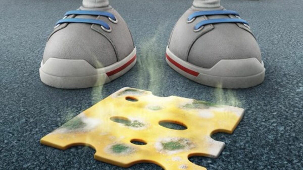 Disney Plus Releases New Poster For Diary Of A Wimpy Kid Movie