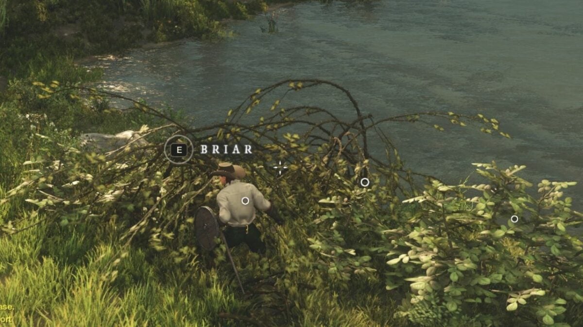 Pricky Request Quest: Locating & Farming Briar Branches in New World