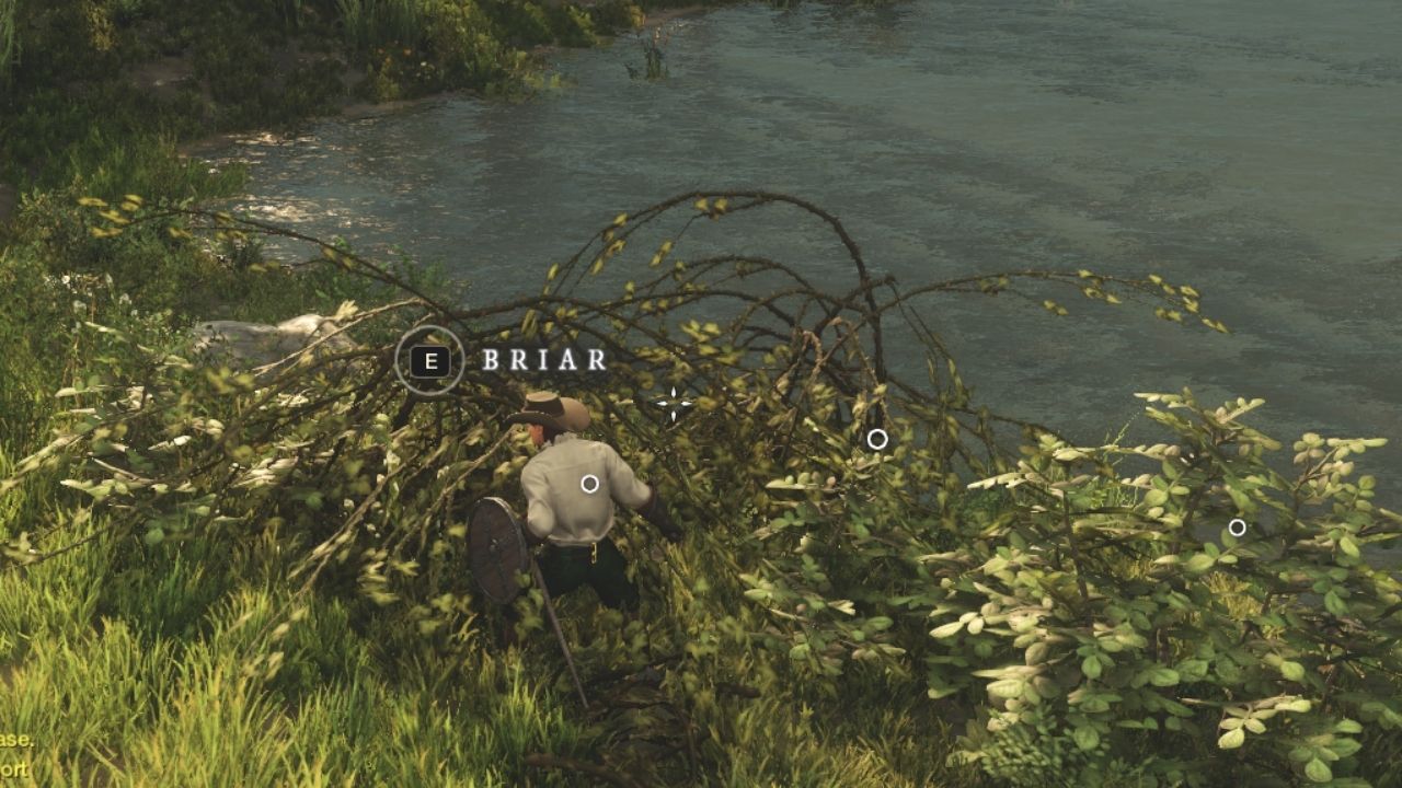 Pricky Request Quest: Locating and Farming Briar Branches in New World cover