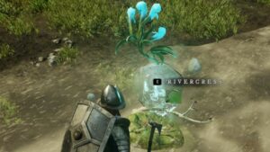 New World Location Guide – Where and How to Find Rivercress Stem?