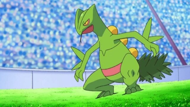 Eine Liste aller Pokémon von Ash bis Pokémon Journeys: The Series