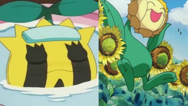 Did Ash Ever Use An Evolution Stone?