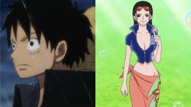 Does Robin like Luffy? Will she end up with him or someone else? 