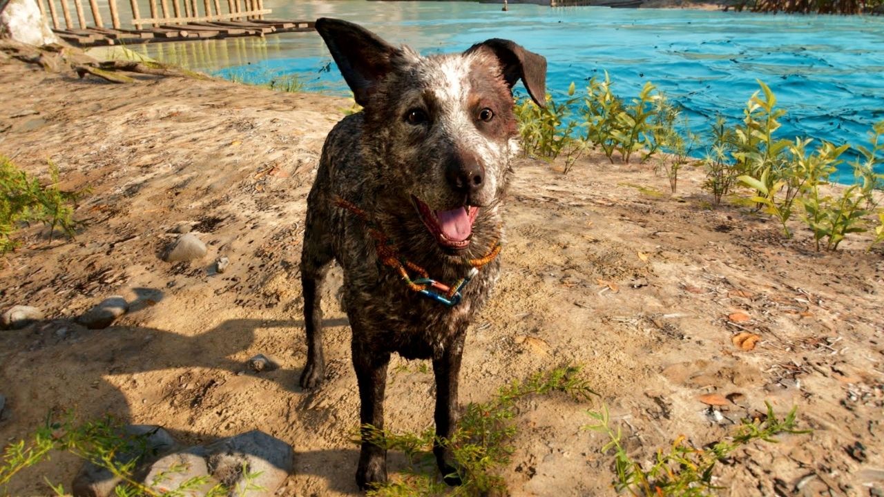 Far Cry 6 Amigo Guide: How to Unlock Boom Boom, Uses, and More! cover