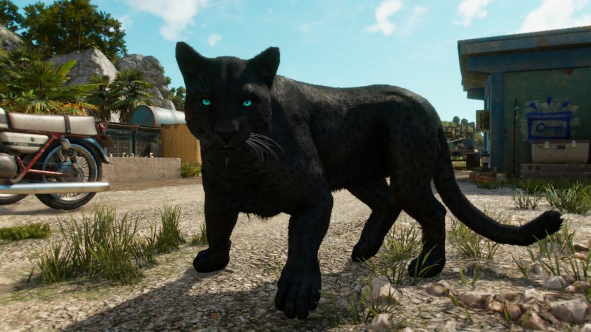 Far Cry 6: Oluso the Black Panther のロックを解除する À 詳細なアミーゴ ガイド