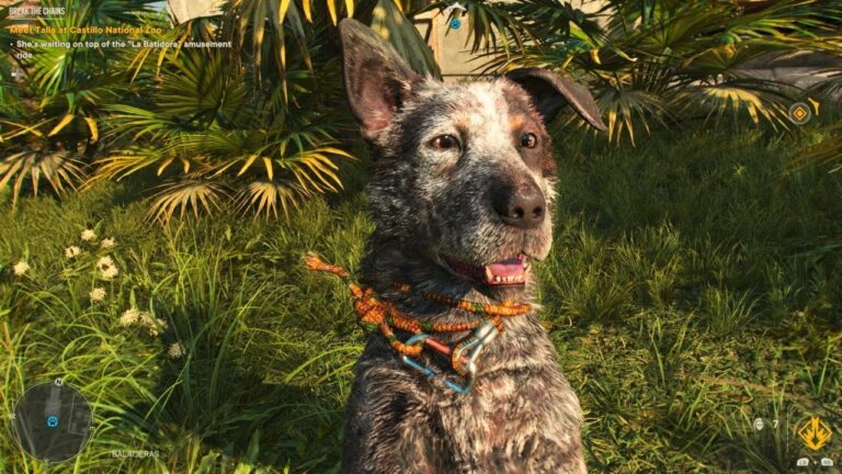 Far Cry 6 Amigo Guide: So entsperren Sie Boom Boom, Verwendungsmöglichkeiten und mehr!