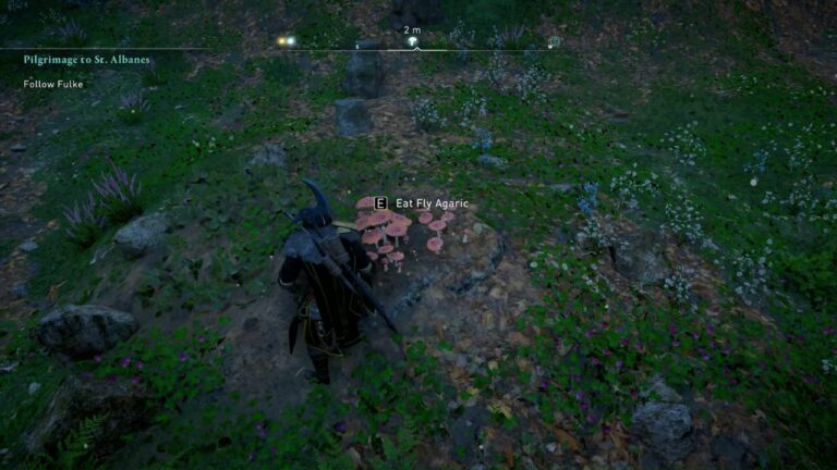 Solving the Cent Fly Agaric (Mushroom Puzzle) Mystery in AC Valhalla